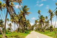 Traversée de la Route de la Traversée, Basse-Terre et la Soufrière, Guadeloupe