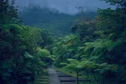 Bain chaud de Thomas et sources, Bouillante, Guadeloupe