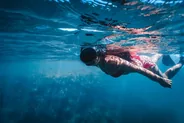 Snorkeling dans la réserve Cousteau, Bouillante, Guadeloupe