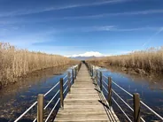 Le marais de Kushiro depuis le belvédère de Hosooka, Lac Akan et Kushiro, Hokkaido