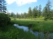 Asahidake en téléphérique et l'étang Sugatami, Asahikawa et le Daisetsuzan, Hokkaido