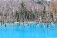 Étang bleu de Shirogane, Furano et Biei, Hokkaido