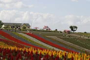 Shikisai-no-oka, les collines de fleurs de Biei, Furano et Biei, Hokkaido