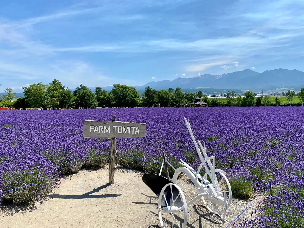 Furano et Biei, Hokkaido