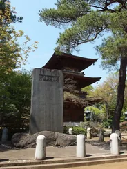 Gotokuji, le temple des chats porte-bonheur, Tokyo, Hokkaido