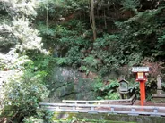 Vallée de Todoroki, un ravin en pleine ville, Tokyo, Hokkaido