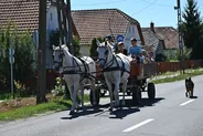 Sortie en charrette dans la puszta et les csikós, Hortobágy, Hongrie