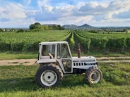 Villány, le vignoble des rouges, Pécs, Hongrie