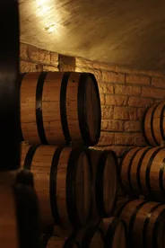 Dégustation dans une cave de Tokaj, Tokaj, Hongrie