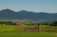 Mád et Tarcal, les villages du vignoble, Tokaj, Hongrie