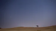 Nuit dans le désert du Thar, Jaisalmer, Inde du Nord