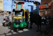 La vieille ville bleue, Jodhpur, Inde du Nord