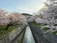 Chemin de la Philosophie, Kyoto, Japon classique