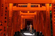 Sanctuaire Fushimi Inari et ses torii, Kyoto, Japon classique
