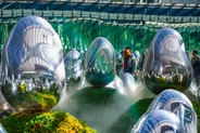 teamLab Planets, art numérique immersif, Tokyo, Japon classique