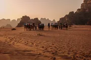Balade à dos de chameau, Wadi Rum, Jordanie
