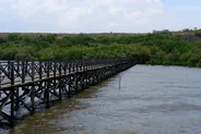 Crique de Mida et sa mangrove, Watamu, Kenya