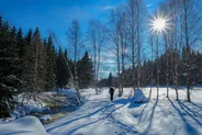 Randonnée guidée en raquettes, Saariselkä et Inari, Laponie