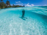 Masque et tuba dans les passes de Vaavu, Fulidhoo, Maldives