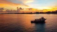 Dauphins au coucher du soleil, Maafushi, Maldives