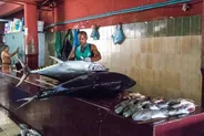 Marché aux poissons de Malé, Malé et Hulhumalé, Maldives