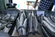 Marché aux poissons de Marsaxlokk, Le Sud : Marsaxlokk, temples et Grotte bleue, Malte