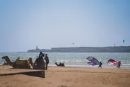 Cours de surf ou de kitesurf, Essaouira, Maroc