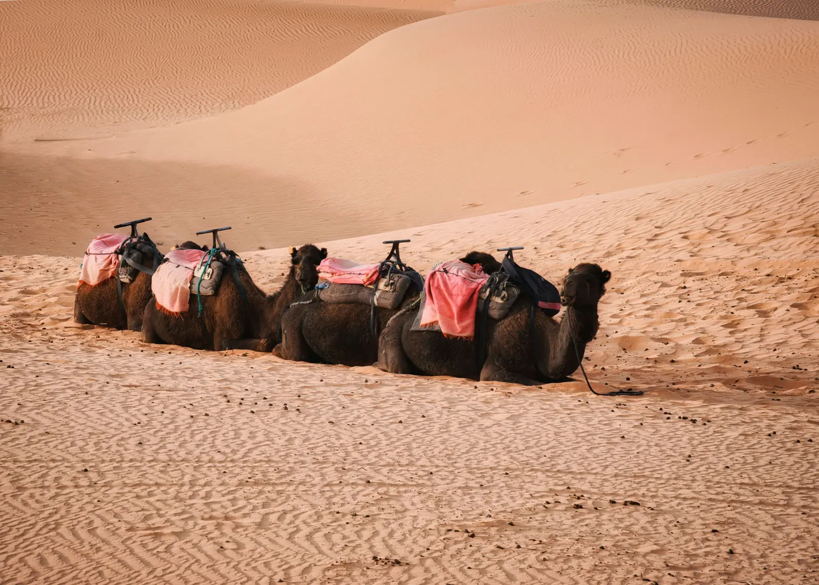 Merzouga, Maroc