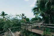 Jardin de Balata, Fort-de-France, Martinique