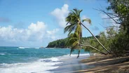 Grande plage du Diamant, Le Diamant, Martinique