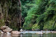 Gorges de la Falaise, Montagne Pelée, Martinique