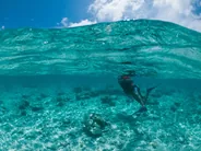 Parc marin de Blue Bay, Mahébourg et Blue Bay, Île Maurice