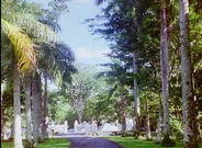 Jardin botanique de Pamplemousses, Pamplemousses, Île Maurice