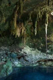 Cenotes de Cuzamá en charrette, Mérida, Mexique