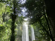 Cascade de Misol-Ha, Palenque, Mexique