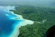 Forêt autour d'El Panchán, Palenque, Mexique