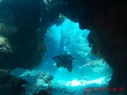 Plongée à Cozumel, journée, Tulum, Mexique