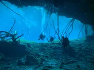 Plongée dans les cenotes, Tulum, Mexique
