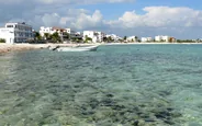 Tortues de mer d'Akumal, Tulum, Mexique
