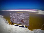 Las Coloradas et Río Lagartos, Valladolid, Mexique