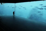Atlanterhavsparken, l'aquarium de l'Atlantique, Ålesund, Norvège