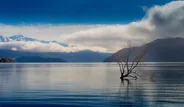 L'arbre de Wānaka et la route de Glenorchy, Queenstown et Wānaka, Nouvelle-Zélande