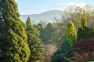 Cable car et jardin botanique, Wellington, Nouvelle-Zélande
