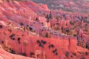 Lever de soleil à Sunrise Point, Bryce Canyon, Ouest américain
