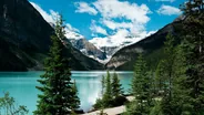 Belvédère du lac Peyto, Jasper et la promenade des Glaciers, Ouest canadien