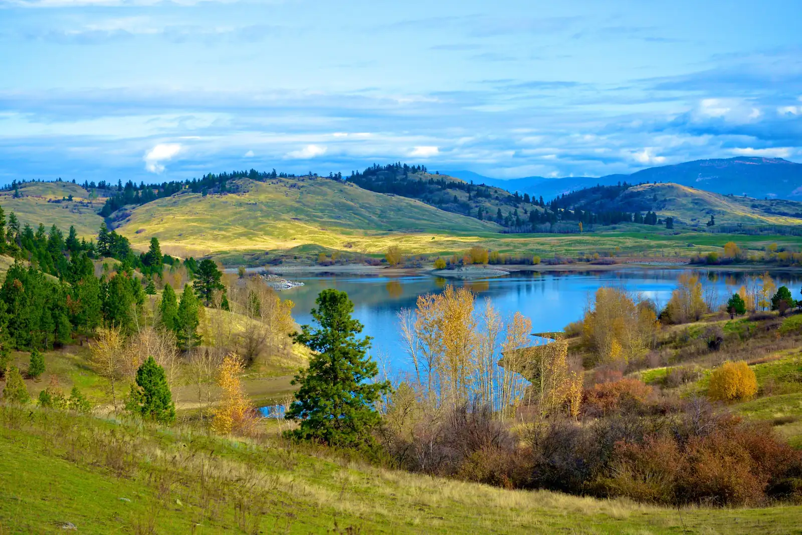 Vallée de l'Okanagan, Ouest canadien