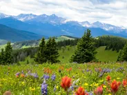 Sentiers d'altitude de Blackcomb, Whistler, Ouest canadien