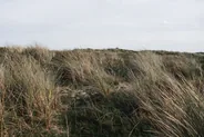 Les dunes et la plage de Zandvoort, Haarlem, Pays-Bas