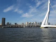 Le pont Érasme et les quais de la Meuse, Rotterdam, Pays-Bas