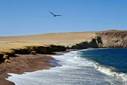 Réserve nationale de Paracas, Paracas et Huacachina, Pérou